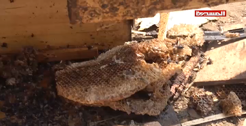 جريمة استهداف طيران العدوان لأسرة في قرية دير عيسى بمديرية باجل في الحديدة 08-10-2018