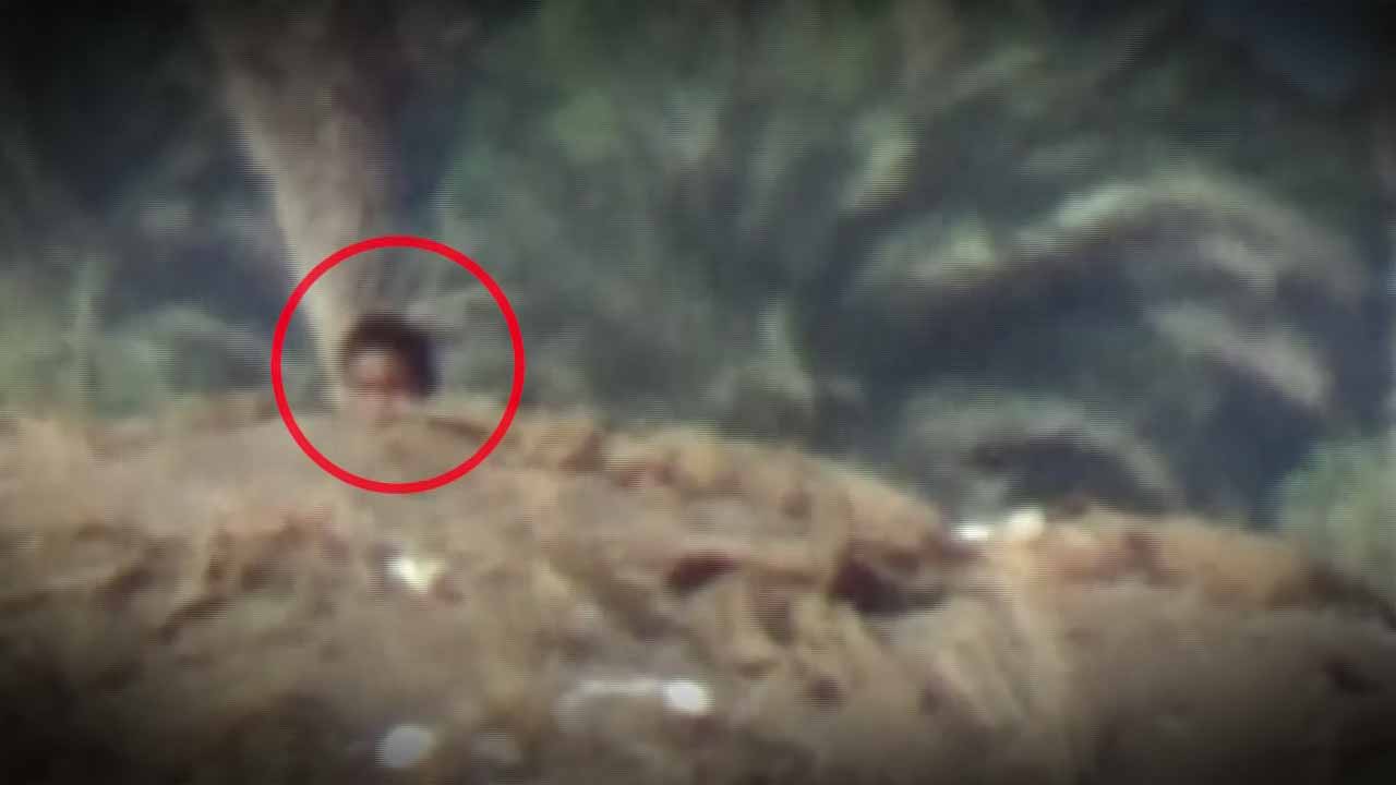 الساحل الغربي – قنص 6 منافقين في الجبلية و2 اخرين في الجاح