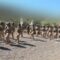 عرض عسكري لدفعة الرسول الأعظم خلال حفل التخرج بالمنطقة العسكرية المركزية