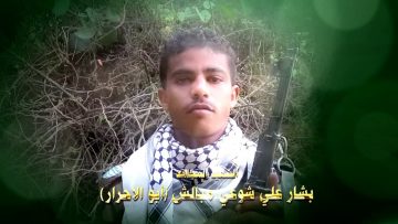 ابو الاحرار