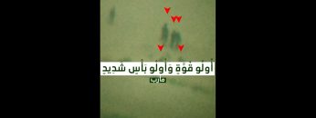 مارب – عملية البأس الشديد