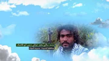 محمد سالم