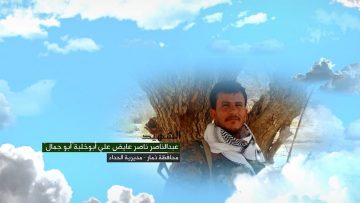 عبدالناصر أبو خلية