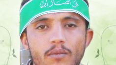 الصوره (1)