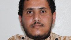 عماد محروس2