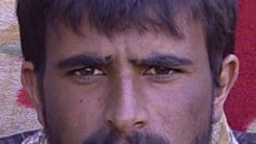 My beautiful picture