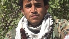 00016.MTS_snapshot_00.40_[2021.11.06_10.15.25]