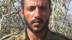 00058.MTS_snapshot_00.04_[2021.10.31_17.43.38]