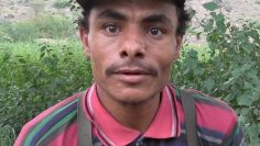 00100.MTS_snapshot_00.19_[2021.10.25_09.57.26]