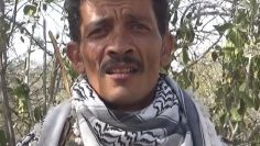 20190201024335.MTS_snapshot_00.01_[2021.10.19_10.45.58]