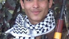 2323234545566556 (2)