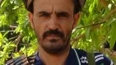DSC00209