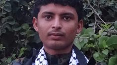 DSC00501