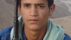 DSC00955