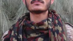 DSC02429.JPG.00_00_00_00.Still001