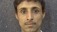 My beautiful picture