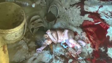 الحديدة – جريمة طيران العدوان الأمريكي السعودي بحق الأم سميرة وزوجها وجنينها في حيس.mp4_snapshot_00.58_[2022.03.13_16.23.02]