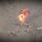 جيزان – استهداف جرافة سعودية بصاروخ موجه في جبهة جيزان