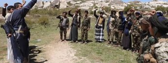 جيزان الأزهور