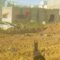 اشتباكات مجاهدي القسام مع قوات العدو المتوغلة جنوب حي الزيتون بمدينة غزة