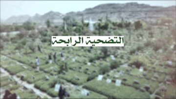 التضحية الرابحة – من القول السديد – فلاشة