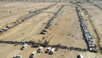 عمران العصيمات