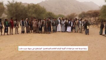 الوية القاسم