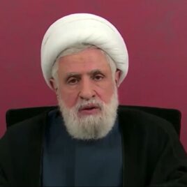 الشيخ نعيم قاسم