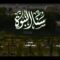 سنا النبوة | أداء مجموعة من المنشدين 1448هـ